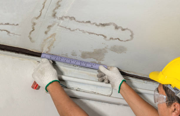 Reliable Mold Remediation contractor in Ashburn, VA by Local Water Damage Repair